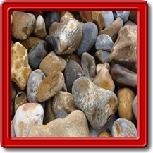 Lyme Bay Rocks